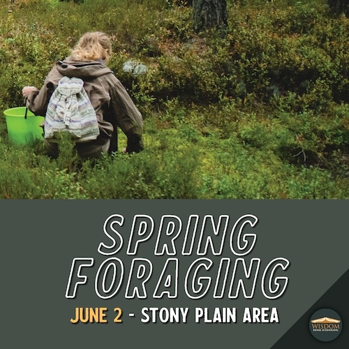 Spring Foraging - Stony Plain <span>E1099</span>
